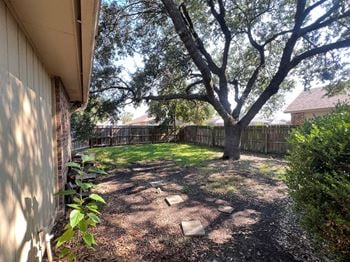 Fenced yard